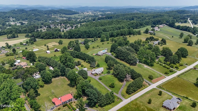 14191 King Mill Pike, Bristol, VA 24202 - overview of rural landscape