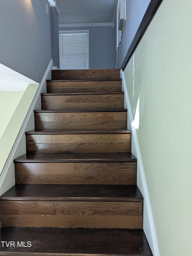 1319 5th St, Bristol, TN 37620 - stairway with ornamental molding