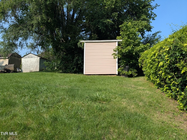 1319 5th St, Bristol, TN 37620 - view of green lawn