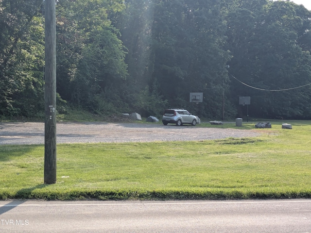 1319 5th St, Bristol, TN 37620 - view of street featuring a view of trees