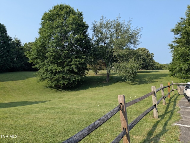 1319 5th St, Bristol, TN 37620 - view of yard