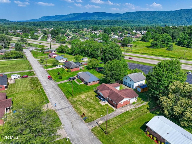 442 W Morgan St, Church Hill, TN 37642 - photo 13