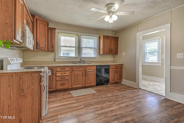 1725 Highland St, Kingsport, TN 37664 - kitchen with black dishwasher, white range with electric stovetop, brown cabinets, wood finished floors, and a ceiling fan
