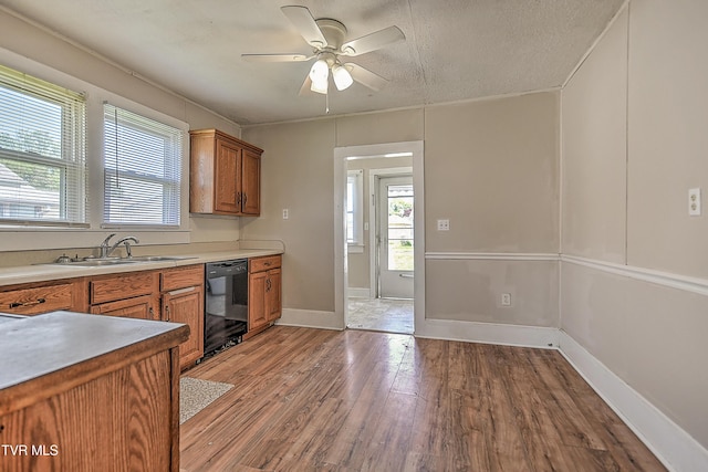 1725 Highland St, Kingsport, TN 37664 - kitchen featuring black dishwasher, a sink, ceiling fan, brown cabinetry, and light wood-type flooring