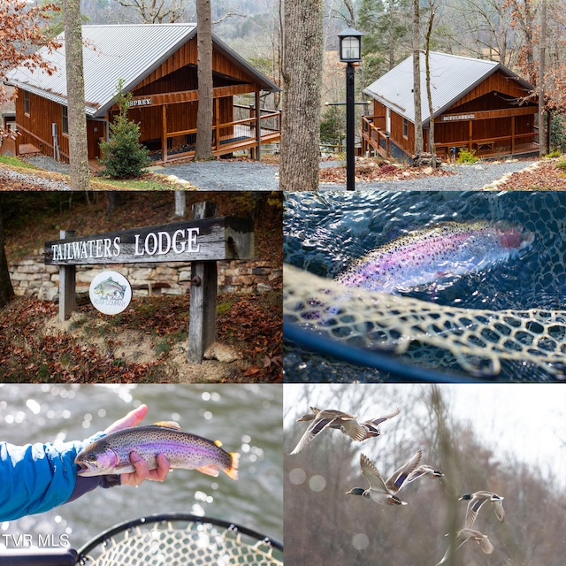 383 S Tva Rd, Bristol, TN 37620 - view of a document with a collage of images