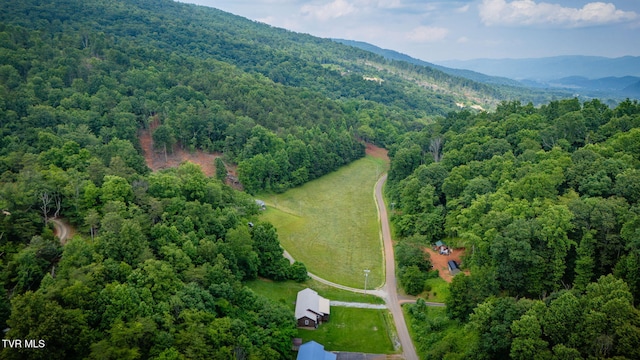 366 Judge Ben Allen Rd, Elizabethton, TN 37643 - view of property location featuring a forest and a mountainous background