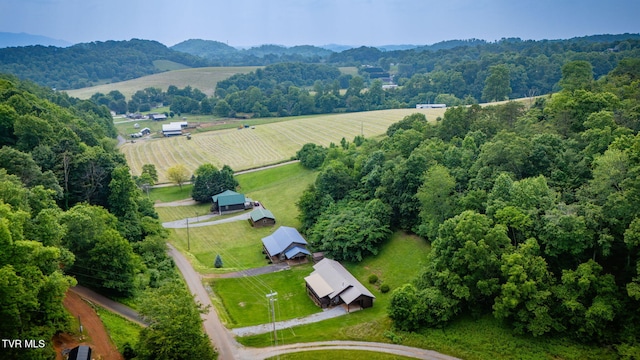 366 Judge Ben Allen Rd, Elizabethton, TN 37643 - overview of rural landscape with farmland and mountains