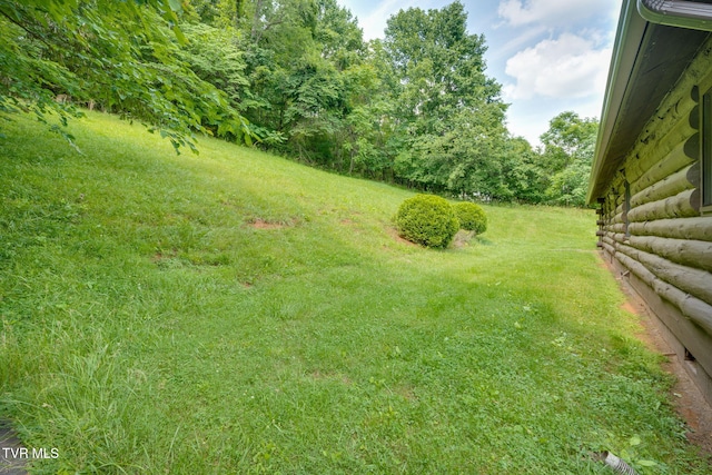 366 Judge Ben Allen Rd, Elizabethton, TN 37643 - view of green lawn