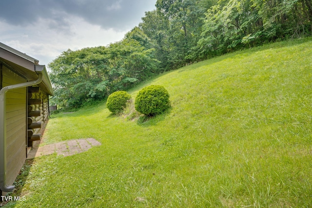 366 Judge Ben Allen Rd, Elizabethton, TN 37643 - view of green lawn