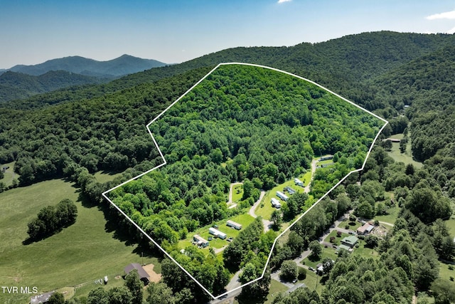 2155 Lumpkin Branch Rd, Mountain City, TN 37683 - photo 2