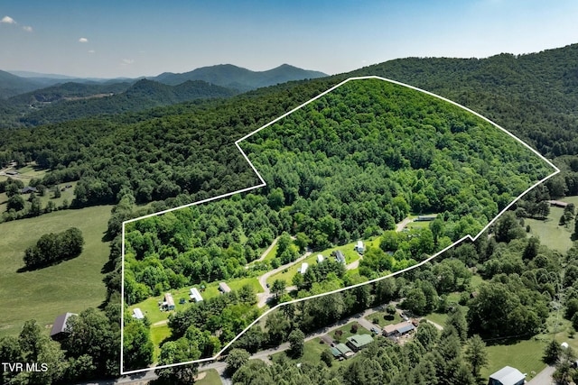 2155 Lumpkin Branch Rd, Mountain City, TN 37683 - photo 3