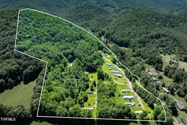 2155 Lumpkin Branch Rd, Mountain City, TN 37683 - photo 4