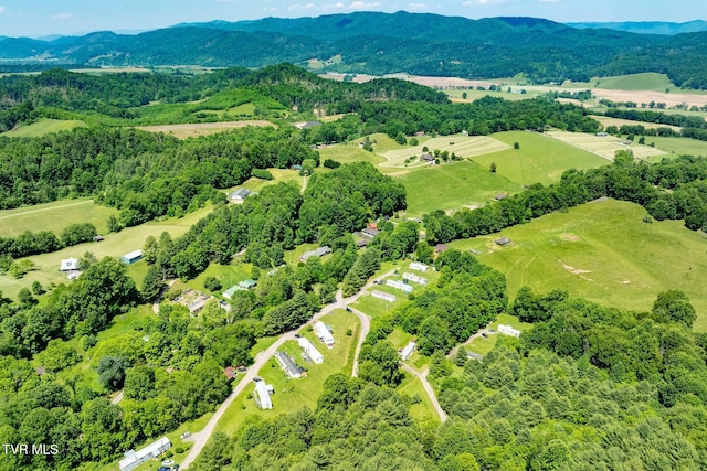 2155 Lumpkin Branch Rd, Mountain City, TN 37683 - photo 6