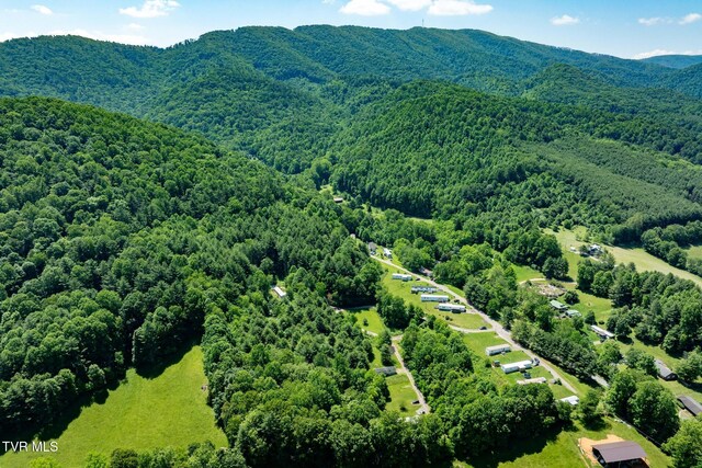 2155 Lumpkin Branch Rd, Mountain City, TN 37683 - photo 8