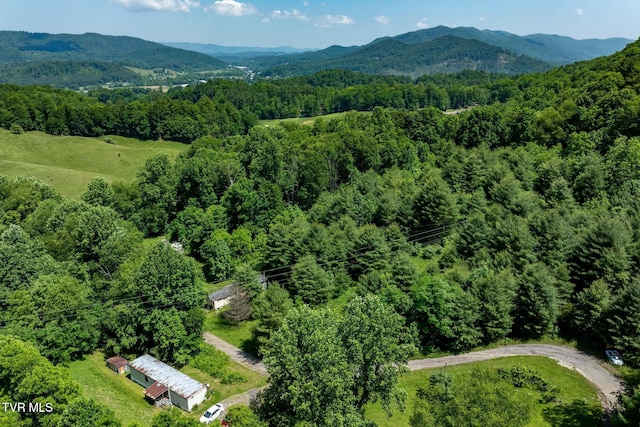 2155 Lumpkin Branch Rd, Mountain City, TN 37683 - photo 13