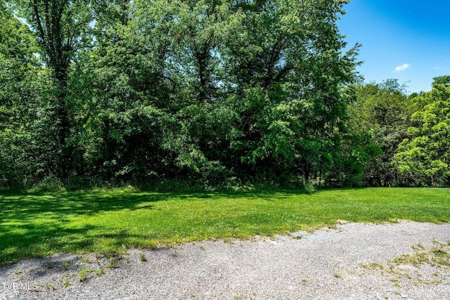 2155 Lumpkin Branch Rd, Mountain City, TN 37683 - photo 21