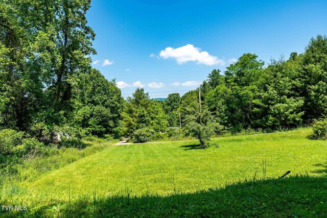 2155 Lumpkin Branch Rd, Mountain City, TN 37683 - photo 22