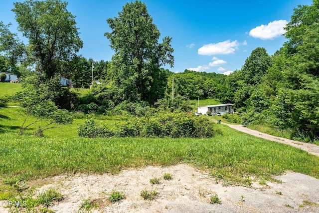 2155 Lumpkin Branch Rd, Mountain City, TN 37683 - photo 23