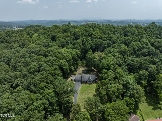 173 Brystone Dr, Gray, TN 37615 - photo 7