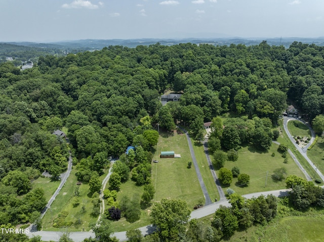173 Brystone Dr, Gray, TN 37615 - photo 5