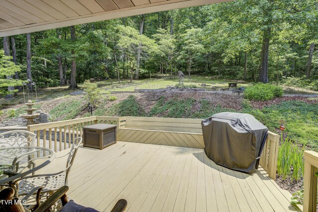 173 Brystone Dr, Gray, TN 37615 - photo 12