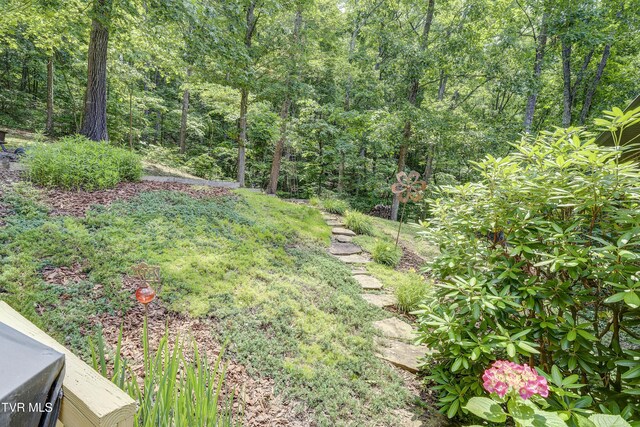 173 Brystone Dr, Gray, TN 37615 - photo 51