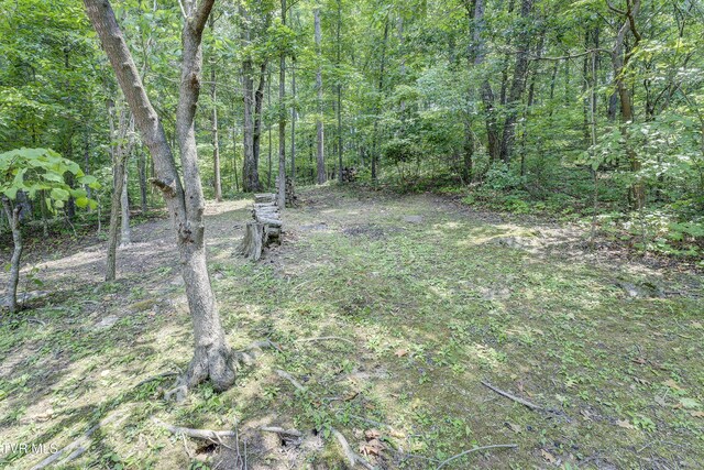 173 Brystone Dr, Gray, TN 37615 - photo 55