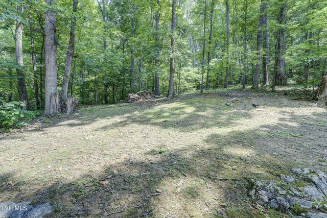 173 Brystone Dr, Gray, TN 37615 - photo 54