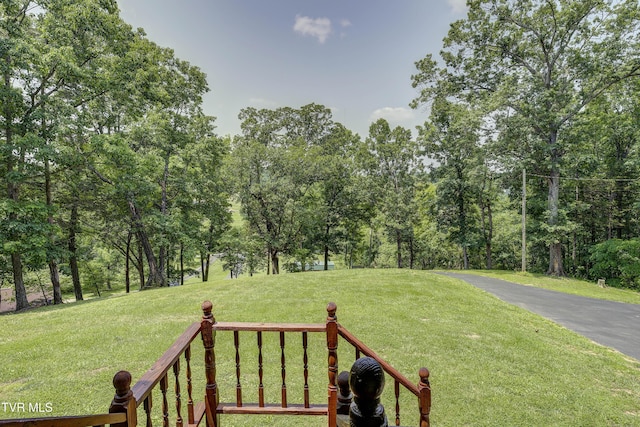173 Brystone Dr, Gray, TN 37615 - photo 14