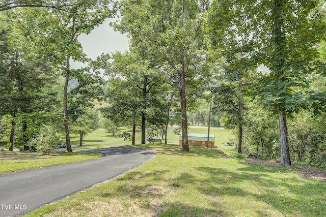 173 Brystone Dr, Gray, TN 37615 - photo 52