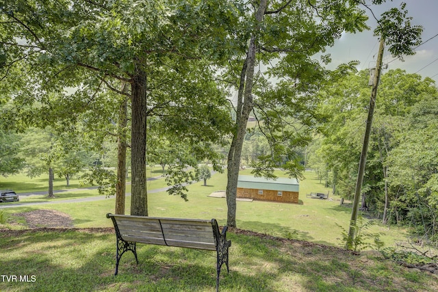 173 Brystone Dr, Gray, TN 37615 - photo 53