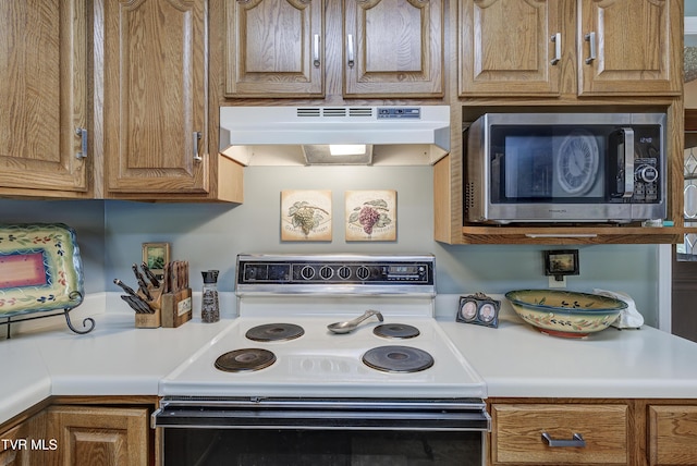 173 Brystone Dr, Gray, TN 37615 - photo 26