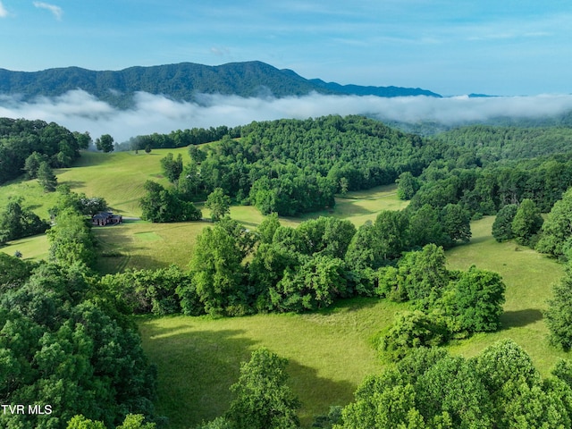 TBD Snowflake Rd, Gate City, VA 24251