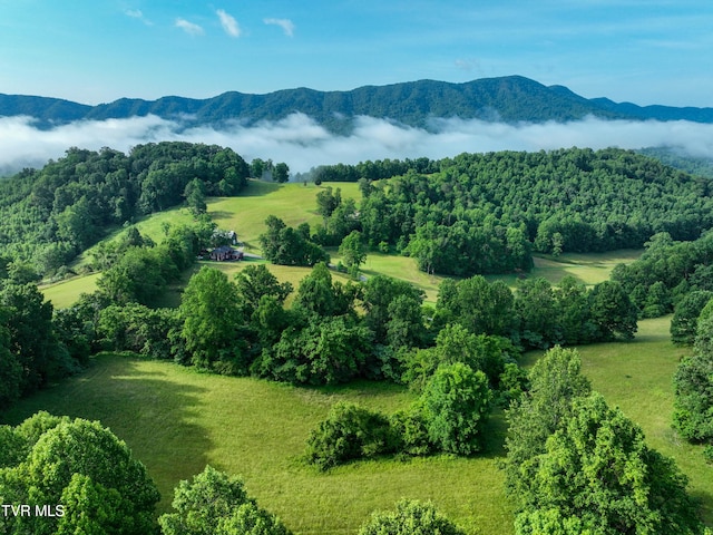 TBD Snowflake Rd, Gate City, VA 24251