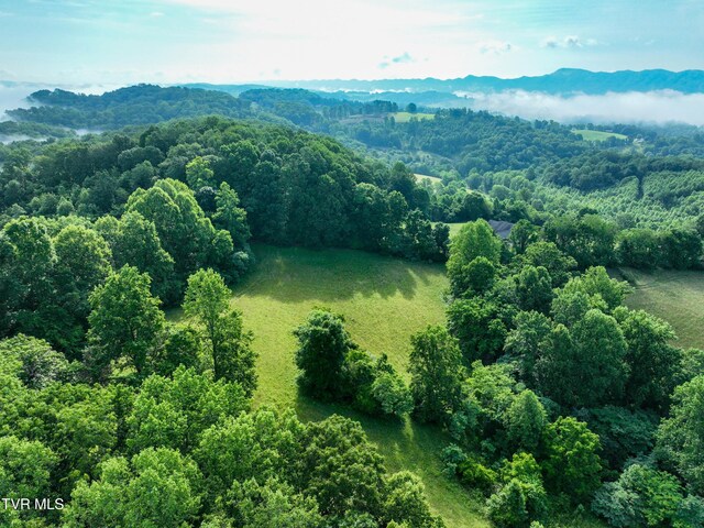 TBD Snowflake Rd, Gate City, VA 24251