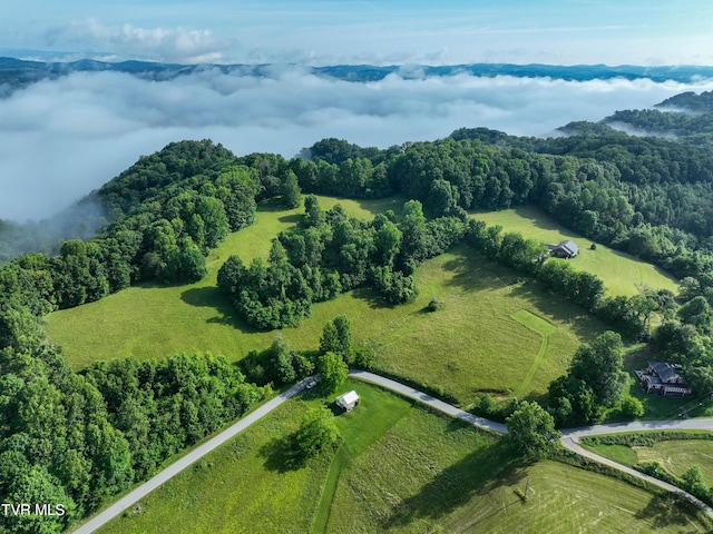 TBD Snowflake Rd, Gate City, VA 24251