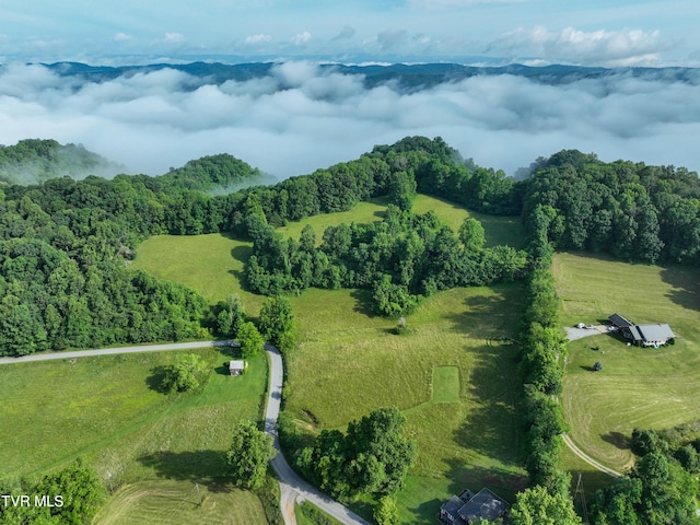 TBD Snowflake Rd, Gate City, VA 24251
