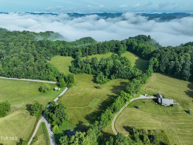 TBD Snowflake Rd, Gate City, VA 24251