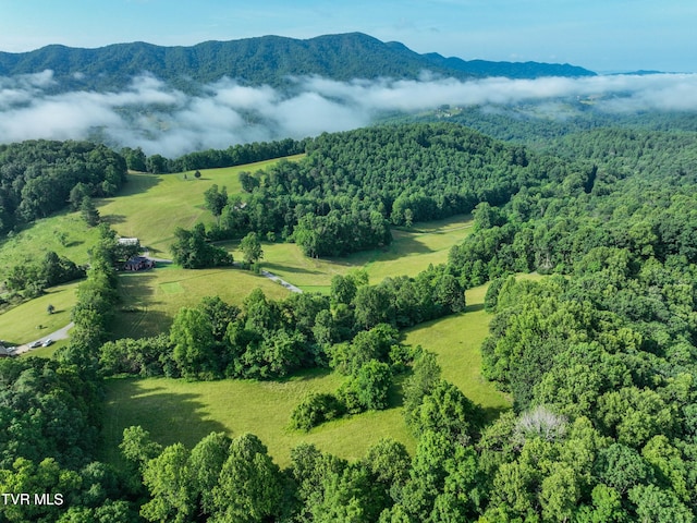 TBD Snowflake Rd, Gate City, VA 24251
