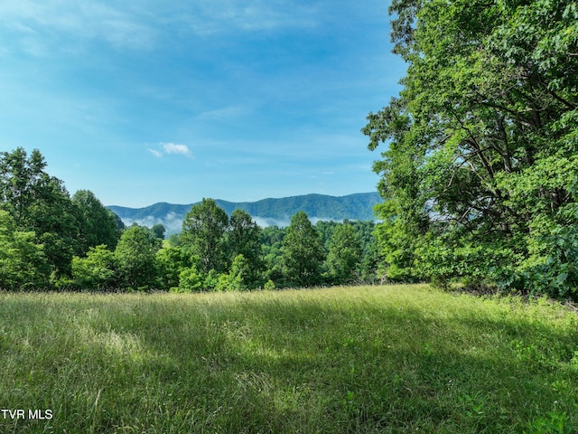 TBD Snowflake Rd, Gate City, VA 24251