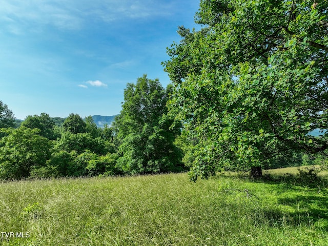 TBD Snowflake Rd, Gate City, VA 24251