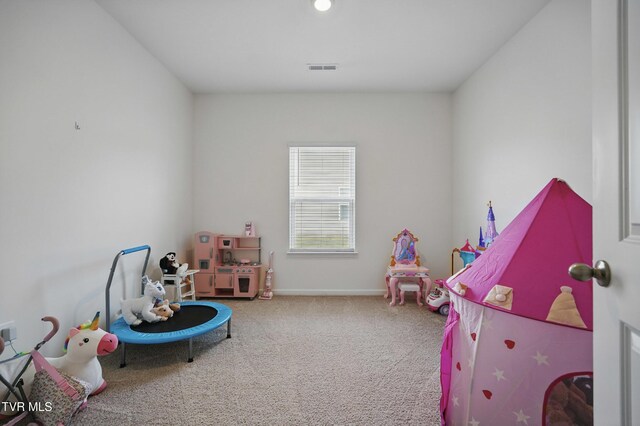 1545 Raccoon Ln, Piney Flats, TN 37686 - photo 24