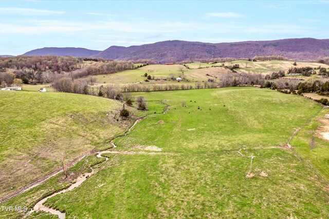 4144 Back Valley Rd, Speedwell, TN 37870 - photo 53
