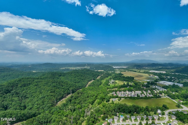 2898 Watauga Rd, Johnson City, TN 37601 - bird's eye view of a forest and mountains