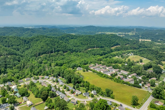 2898 Watauga Rd, Johnson City, TN 37601 - aerial view of residential area with a heavily wooded area