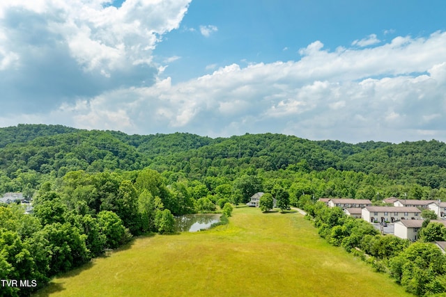 2898 Watauga Rd, Johnson City, TN 37601 - aerial view of a forest and a nearby body of water