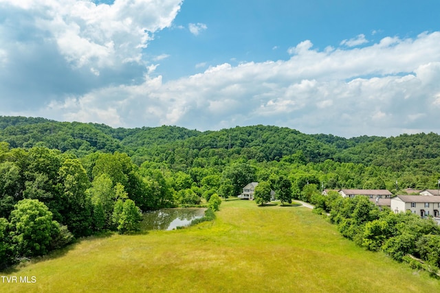 2898 Watauga Rd, Johnson City, TN 37601 - view of mountain backdrop with a heavily wooded area and a large body of water