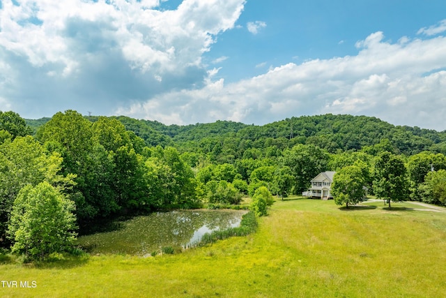 2898 Watauga Rd, Johnson City, TN 37601 - view of mountain backdrop with a forest and a large body of water