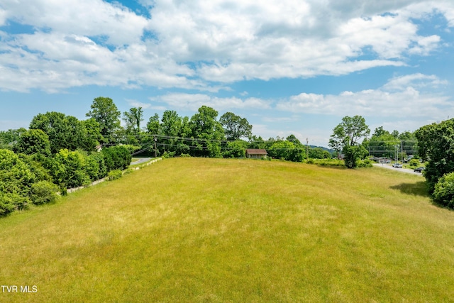 2898 Watauga Rd, Johnson City, TN 37601 - view of yard