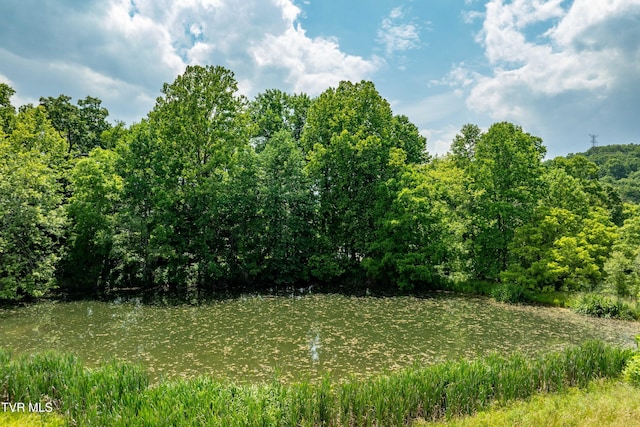 2898 Watauga Rd, Johnson City, TN 37601 - view of wooded area